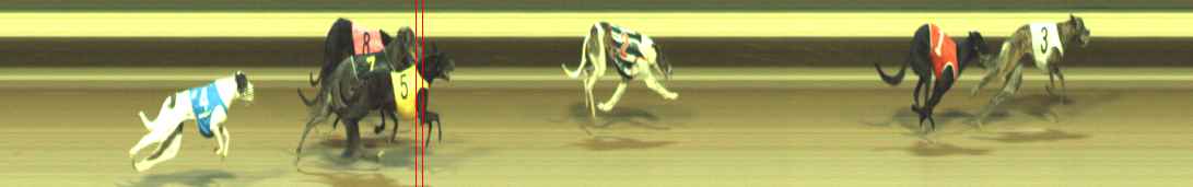 Photo finish for Warragul Race 4