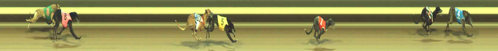 Photo finish for Warragul Race 5