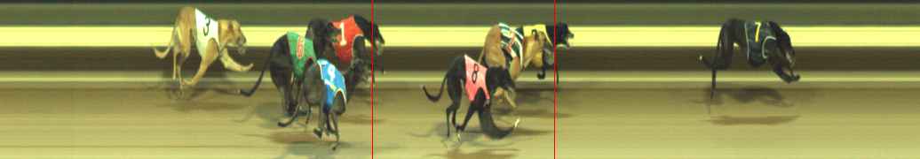 Photo finish for Warragul Race 7