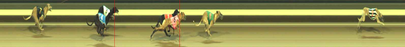 Photo finish for Warragul Race 8