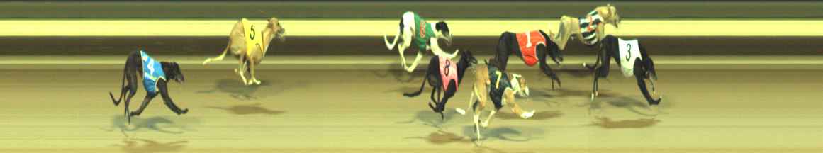 Photo finish for Warragul Race 10