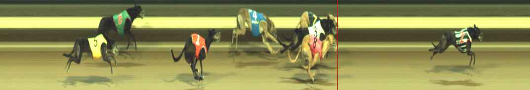 Photo finish for Warragul Race 11