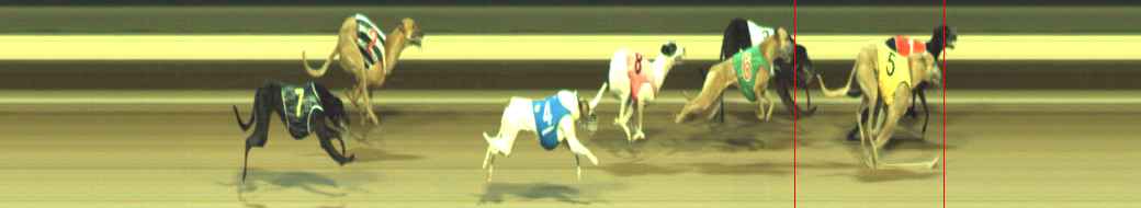 Photo finish for Warragul Race 12