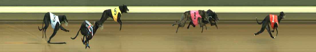 Photo finish for Warragul Race 1
