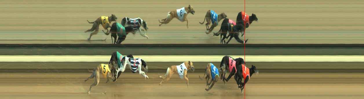 Photo finish for Warragul Race 4