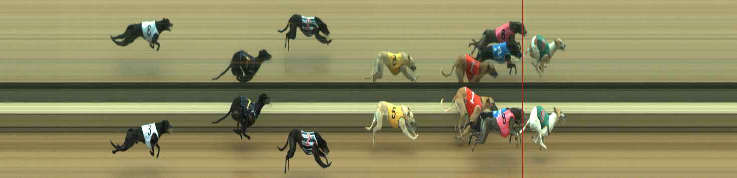 Photo finish for Warragul Race 5