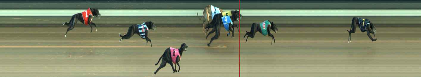 Photo finish for Warragul Race 7