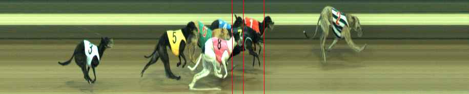 Photo finish for Warragul Race 8