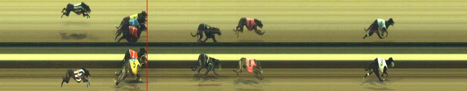 Photo finish for Warragul Race 10