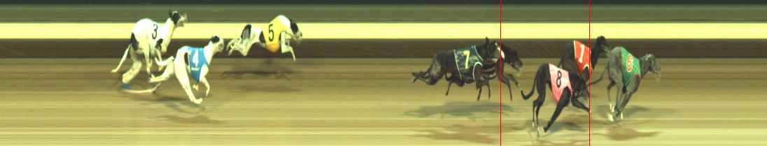 Photo finish for Warragul Race 11