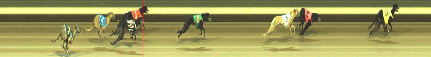 Photo finish for Warragul Race 12