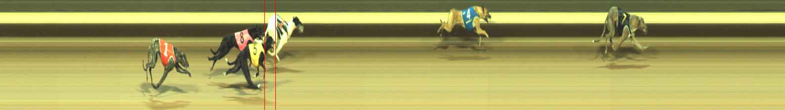 Photo finish for Warragul Race 1