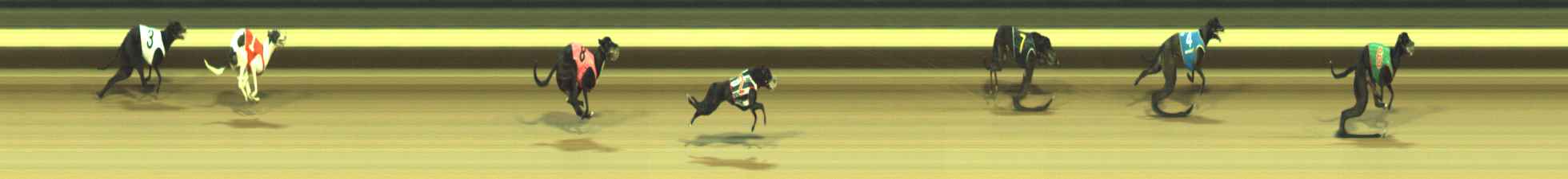 Photo finish for Warragul Race 2