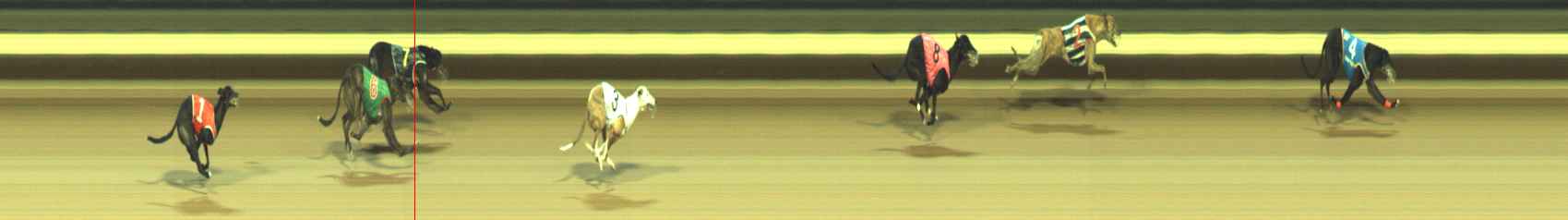 Photo finish for Warragul Race 4