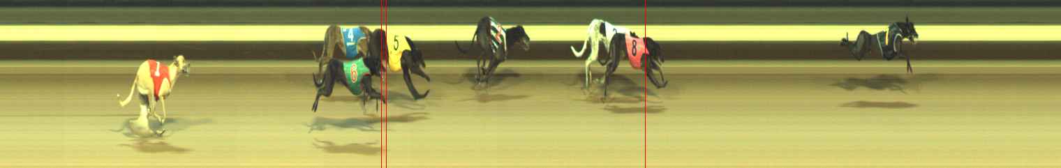 Photo finish for Warragul Race 5