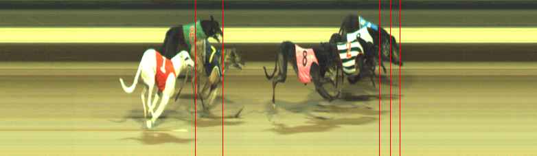 Photo finish for Warragul Race 8
