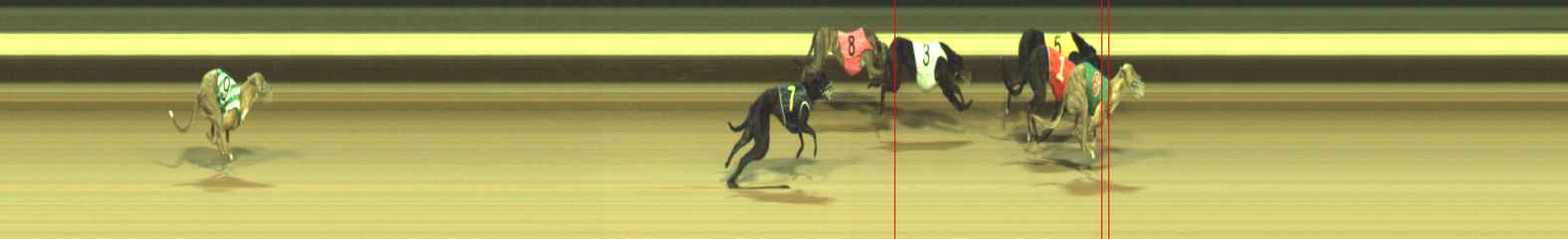 Photo finish for Warragul Race 10