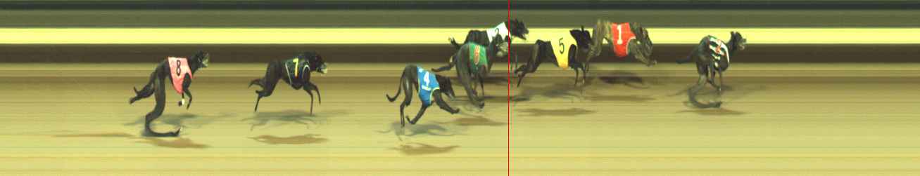 Photo finish for Warragul Race 11