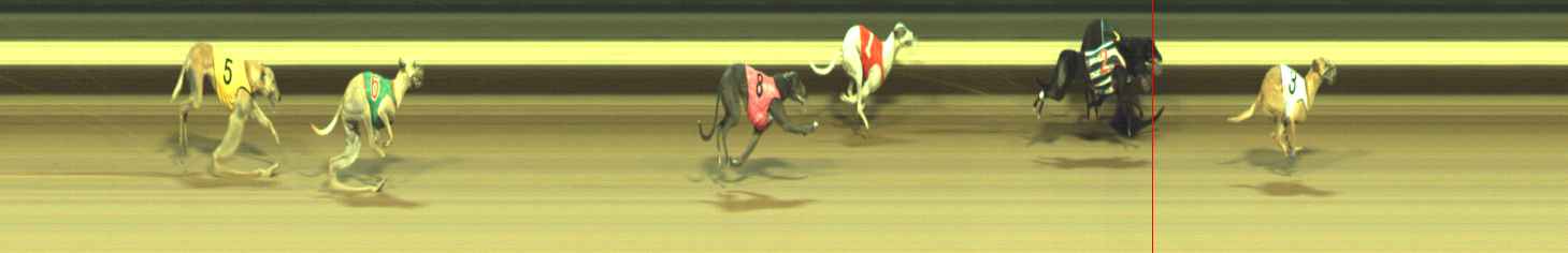 Photo finish for Warragul Race 12