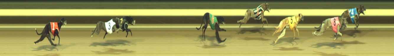 Photo finish for Warragul Race 1
