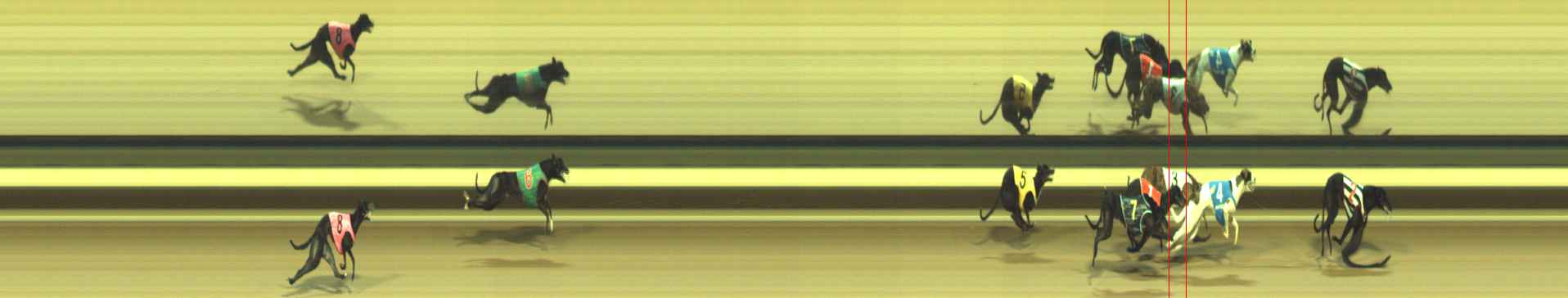 Photo finish for Warragul Race 3