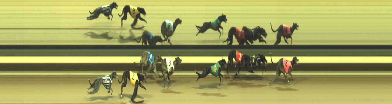 Photo finish for Warragul Race 4