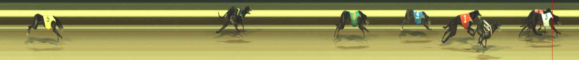 Photo finish for Warragul Race 5