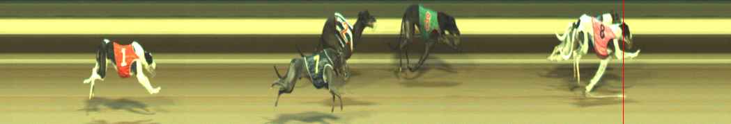 Photo finish for Warragul Race 7