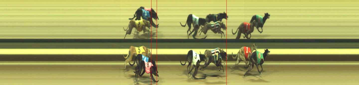 Photo finish for Warragul Race 8