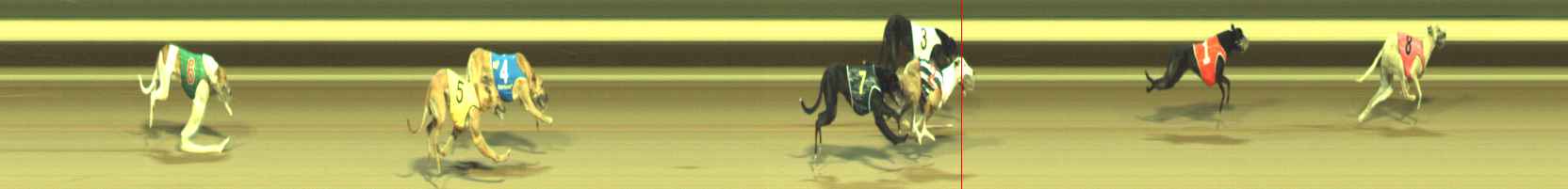 Photo finish for Warragul Race 9