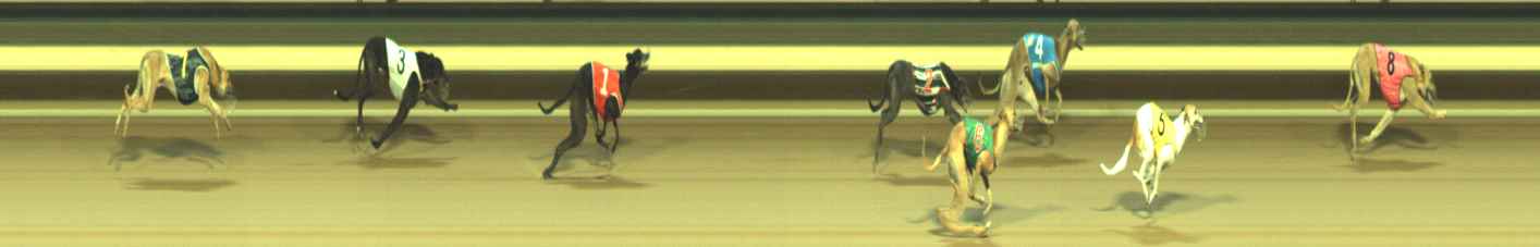 Photo finish for Warragul Race 11