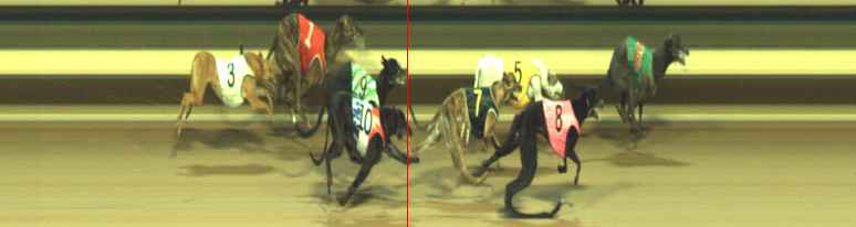 Photo finish for Warragul Race 12