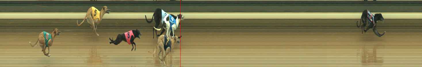 Photo finish for Warragul Race 1
