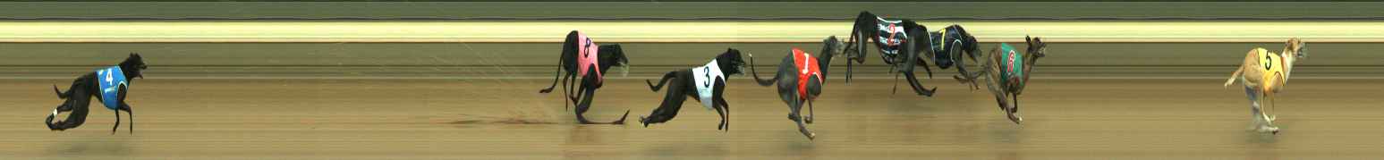 Photo finish for Warragul Race 4