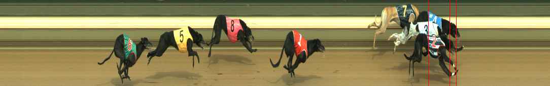 Photo finish for Warragul Race 5