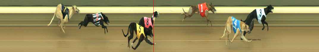 Photo finish for Warragul Race 6