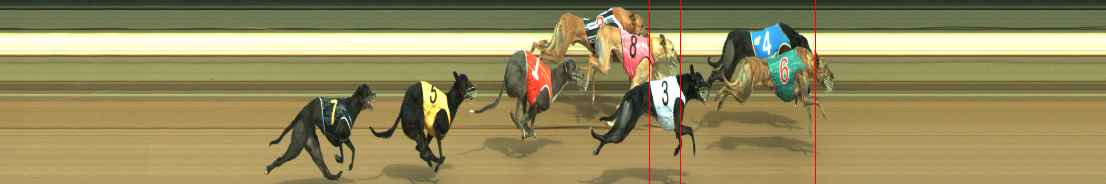 Photo finish for Warragul Race 8
