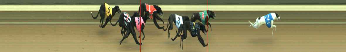 Photo finish for Warragul Race 10