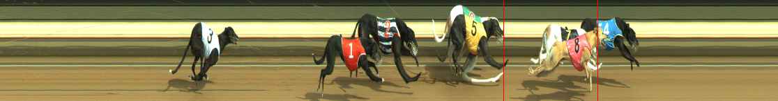 Photo finish for Warragul Race 11