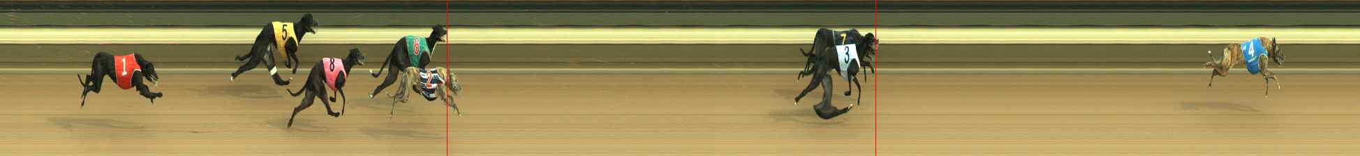 Photo finish for Warragul Race 1