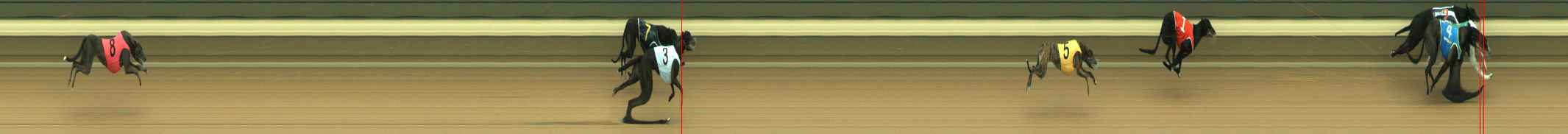Photo finish for Warragul Race 2