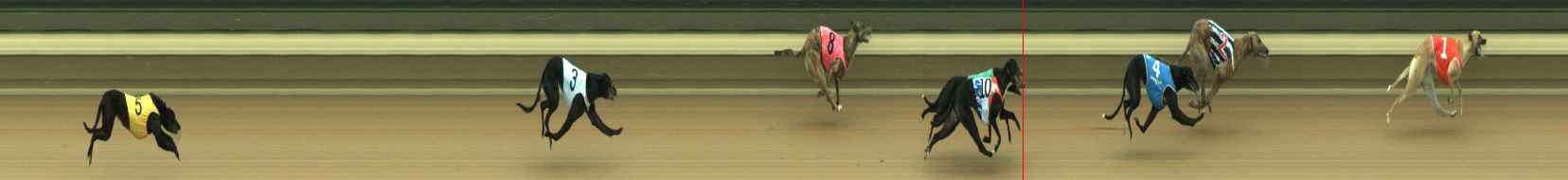 Photo finish for Warragul Race 3