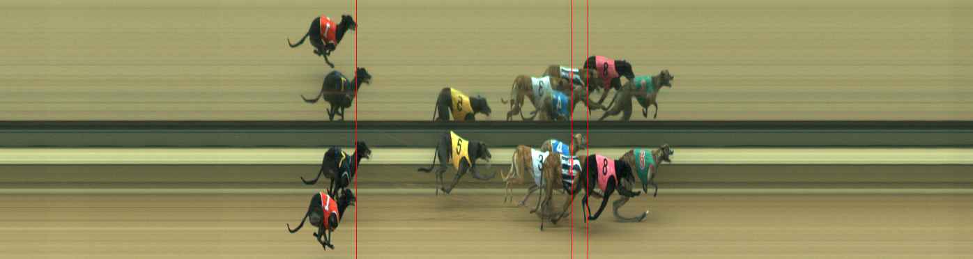 Photo finish for Warragul Race 4