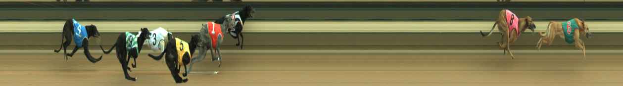 Photo finish for Warragul Race 5