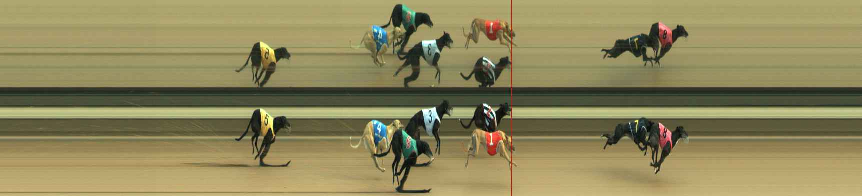 Photo finish for Warragul Race 6