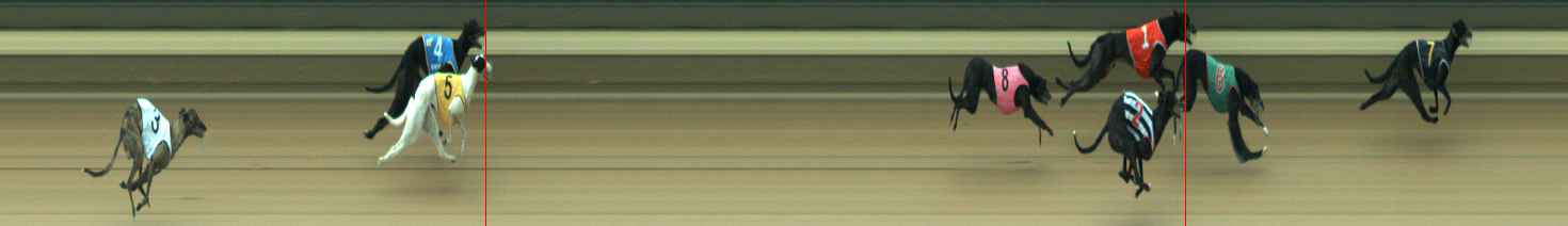 Photo finish for Warragul Race 7