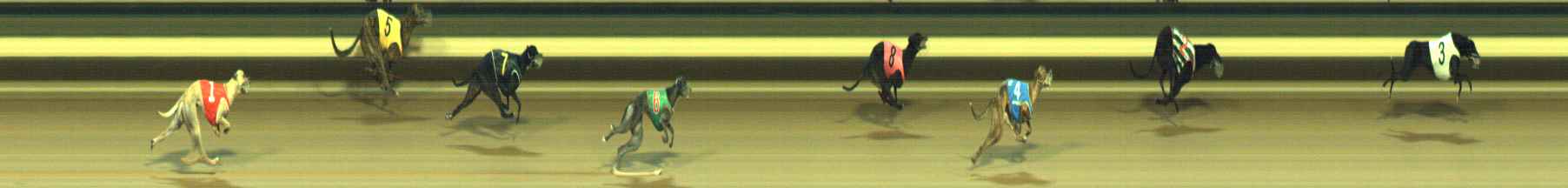 Photo finish for Warragul Race 11