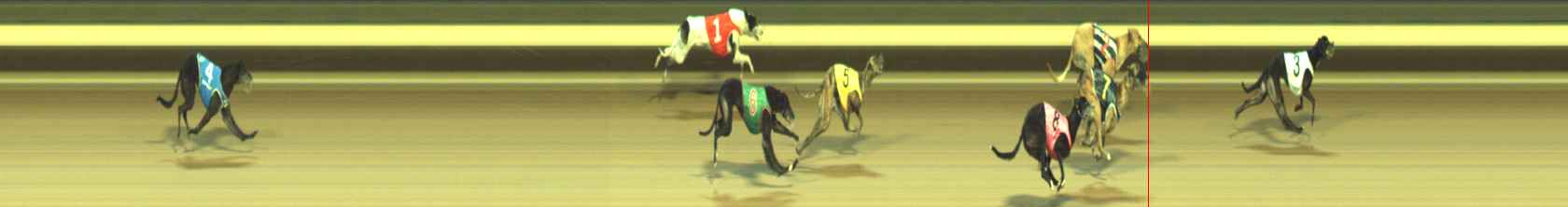 Photo finish for Warragul Race 12