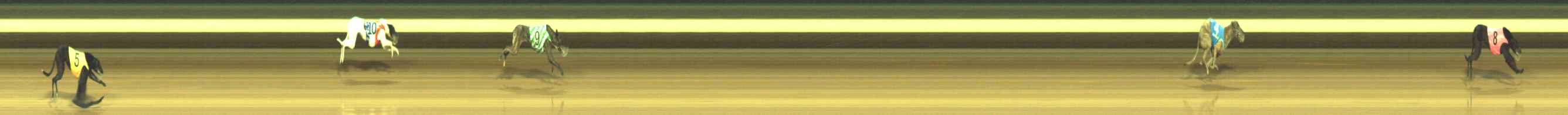 Photo finish for Warragul Race 1