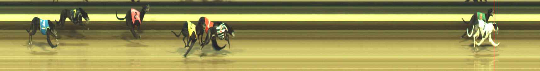 Photo finish for Warragul Race 2